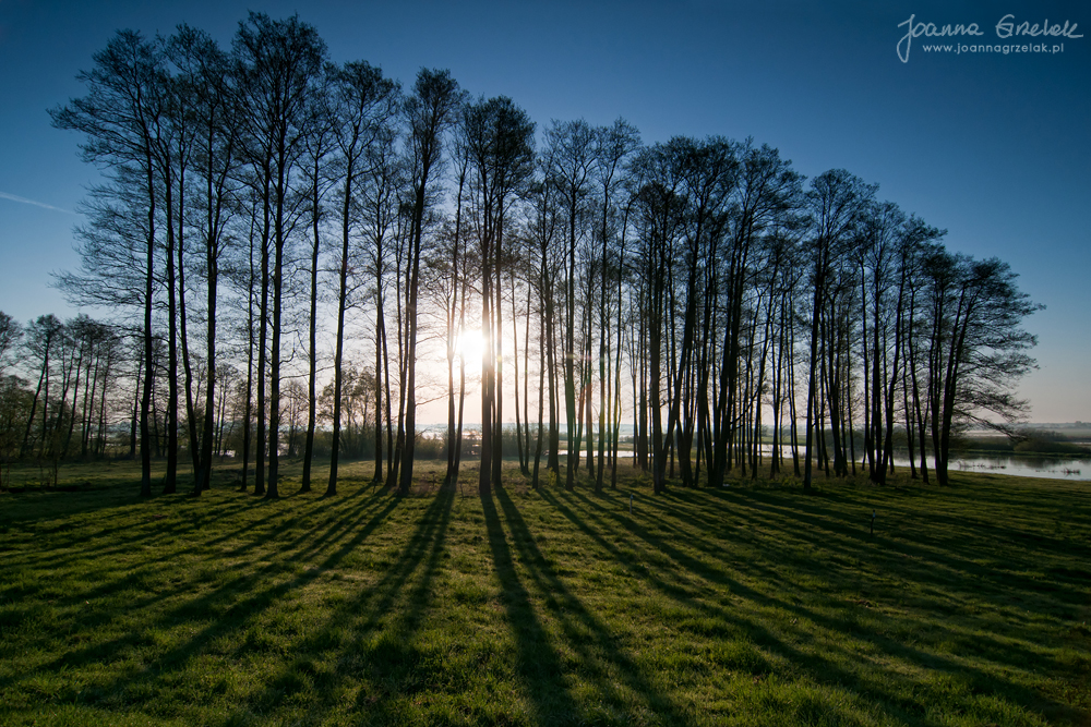 019_Biebrza - kwiecien 2012.jpg